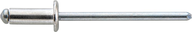 Nit 1-str.zam.CAP,al/stalleb plas.-okr. 4,8x10mm GESIPA 