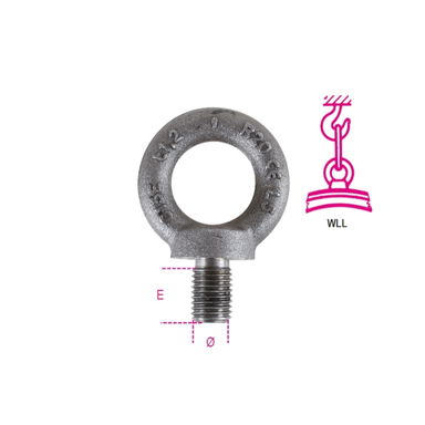 Śruba z uchem M36, WLL 4600 kg, E 54 mm Robur